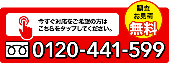 0120-441-599